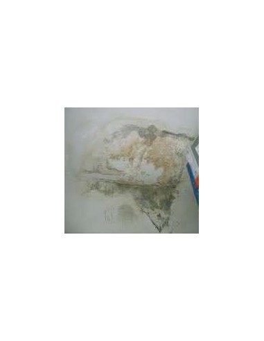 Mineralizante