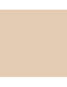 Peinture plastique monocouche pour murs et façades de couleur brun moyen pour intérieur et extérieur, qualité Premium
