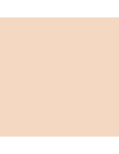 Pittura plastica monostrato per pareti e facciate di colore salmone intermedio per interni ed esterni, qualità Premium