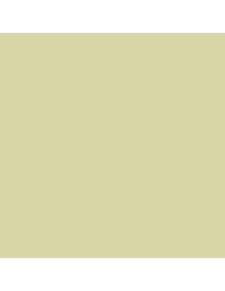 Pittura plastica monostrato per pareti e facciate di colore verde intermedio per interni ed esterni, qualità Premium