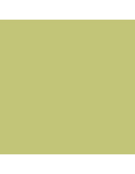 Peinture plastique monocouche pour murs et façades de couleur vert naturel pour intérieur et extérieur, qualité Premium