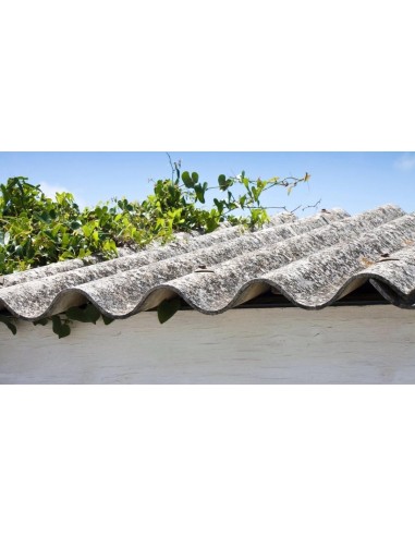 Pintura para Tejados de Uralita y Amianto une peinture décorative