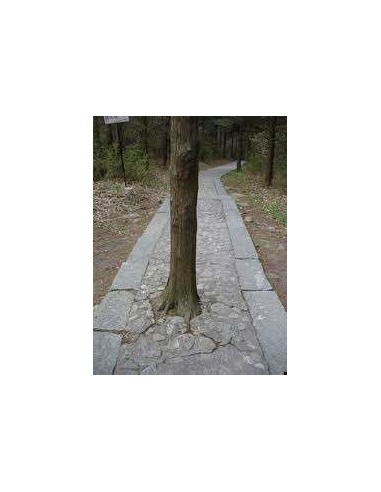 Acrílica suelos Pav