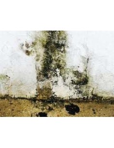 Revestimiento Liso Blanco