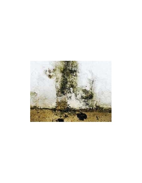 Revestimiento Liso Blanco
