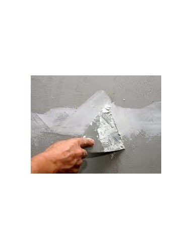 Plaste de Renovación