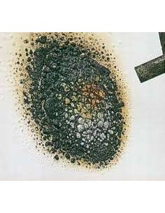 Esmalte Decoración MATE