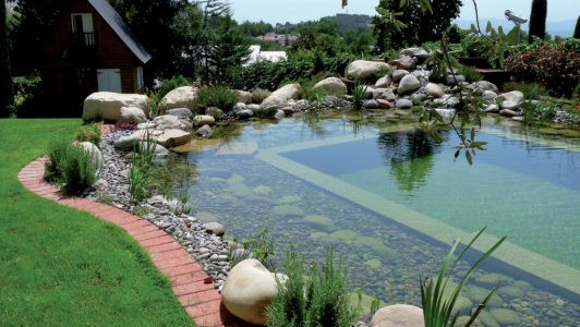 Construction and maintenance of lakes or swimming pools, biological, natural and ecological. All you need to know
